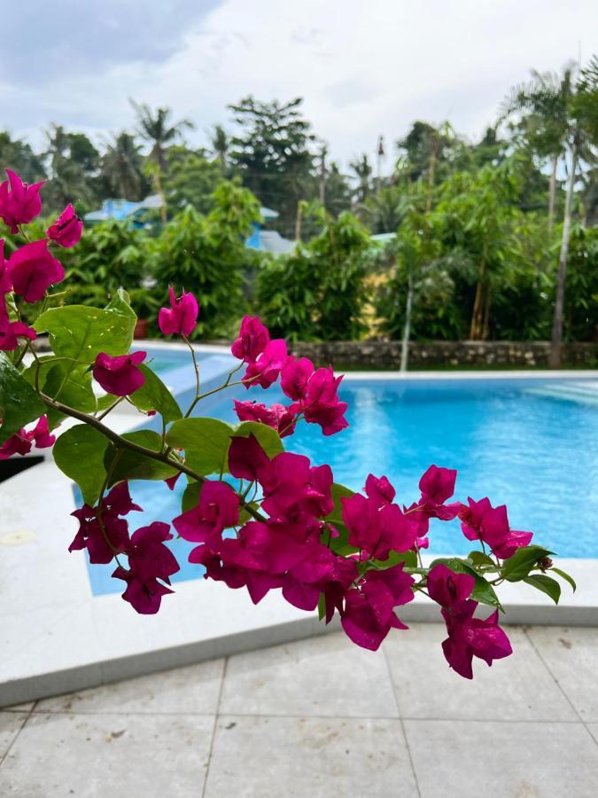 D Arc Leisure Home By The Sea Panglao-stad Buitenkant foto